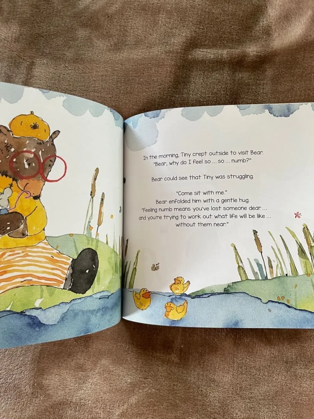 Karen Brough I Can't Believe They're Gone Children's Grief Book Comfort Loss
